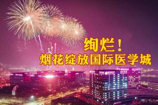 絢爛！煙花綻放國(guó)際醫(yī)學(xué)城